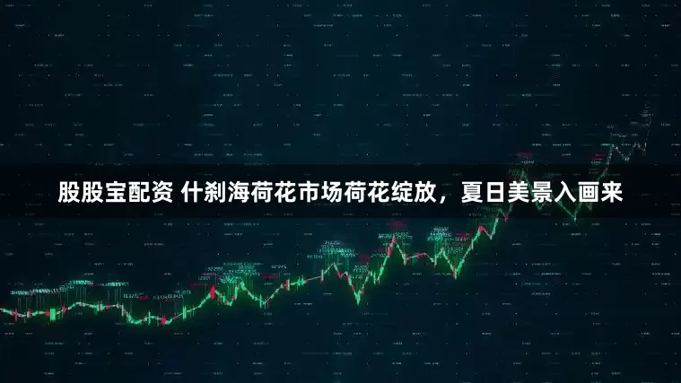 股股宝配资 什刹海荷花市场荷花绽放，夏日美景入画来