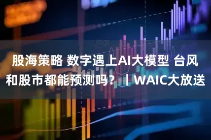 股海策略 数字遇上AI大模型 台风和股市都能预测吗?丨WAIC大放送