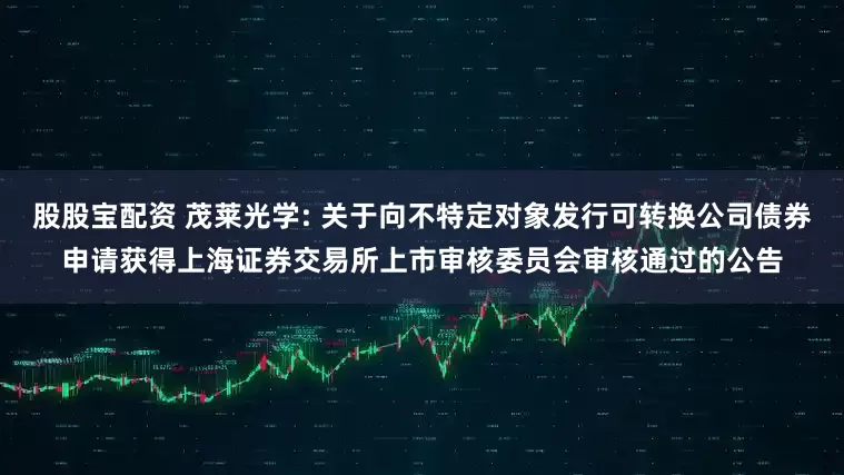 股股宝配资 茂莱光学: 关于向不特定对象发行可转换公司债券申请获得上海证券交易所上市审核委员会审核通过的公告