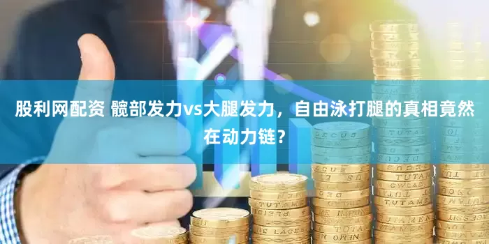 股利网配资 髋部发力vs大腿发力，自由泳打腿的真相竟然在动力链？